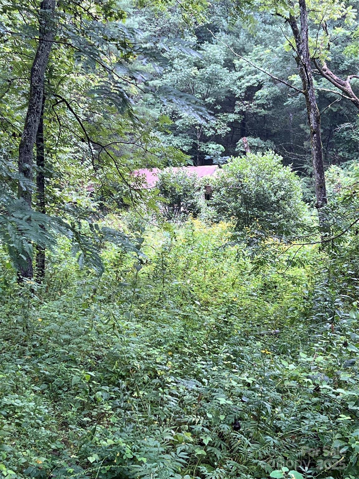 Lenoir, NC 28645,6492 Stone Mountain RD