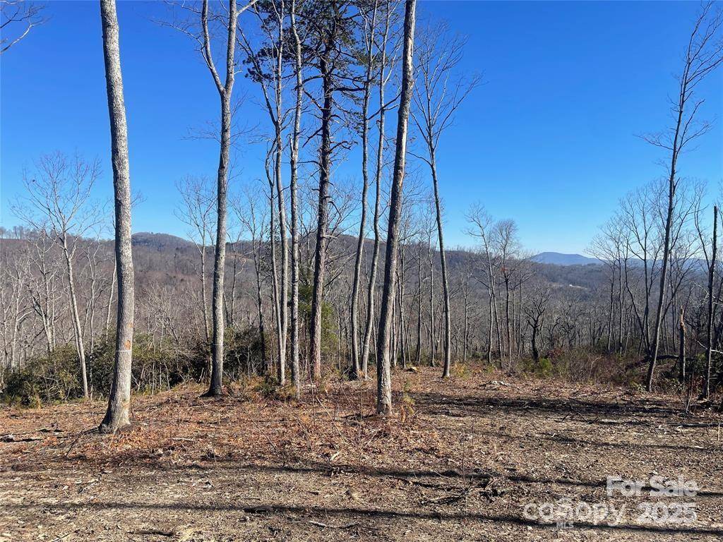 Fletcher, NC 28732,Lot 59 Mountain Grove LN