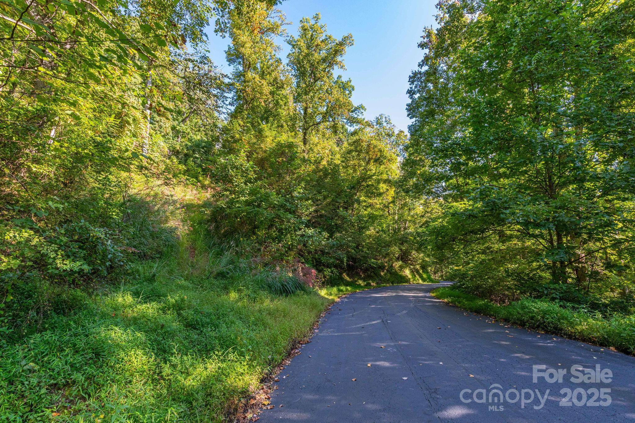 Mars Hill, NC 28754,300 Running Deer LN #70