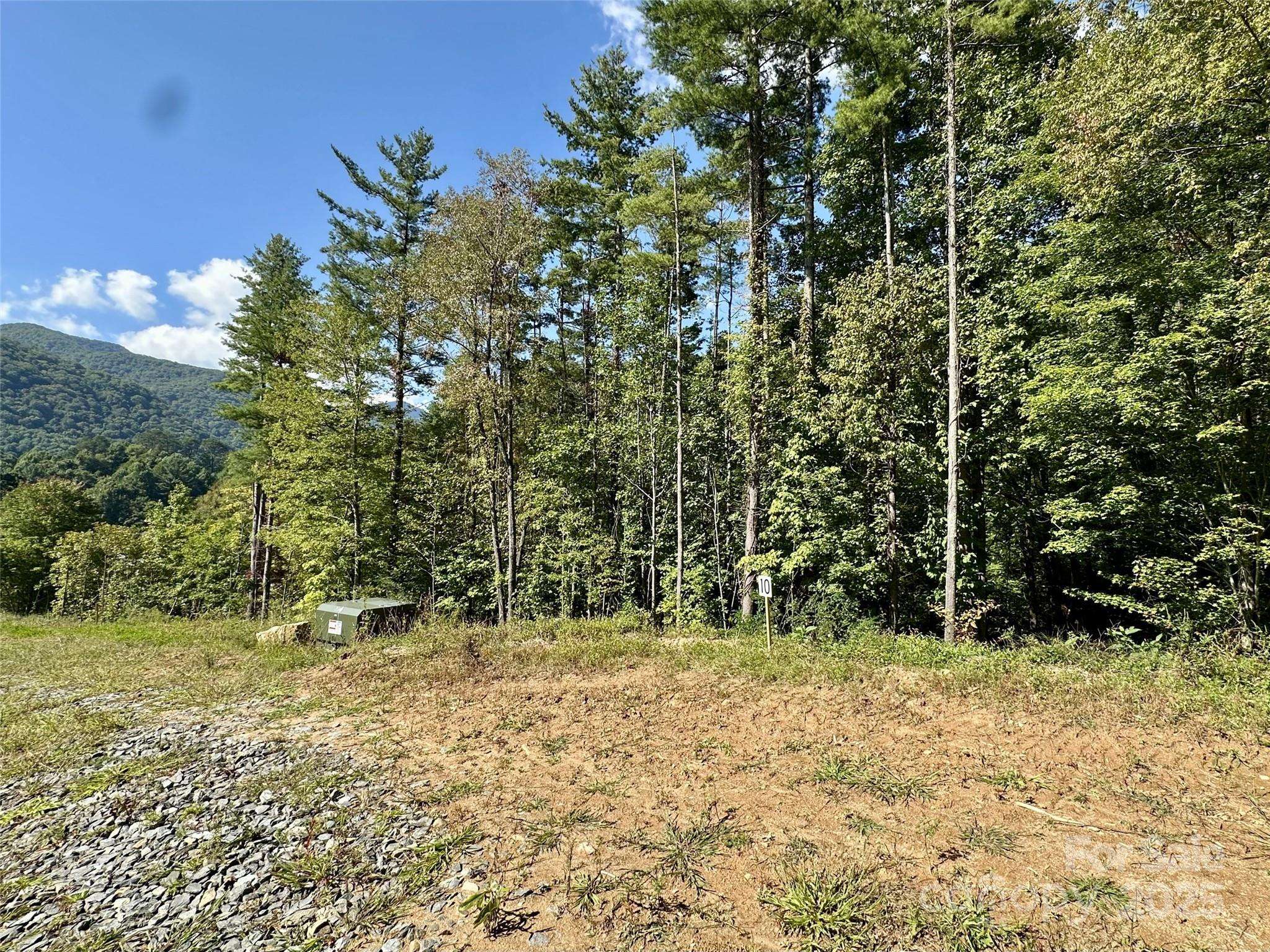 Maggie Valley, NC 28751,10 Freshwater CV