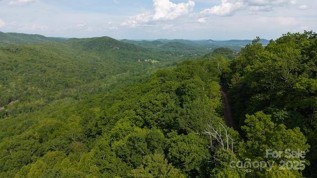 Moravian Falls, NC 28654,000 Cove Gap RD #Offering #3