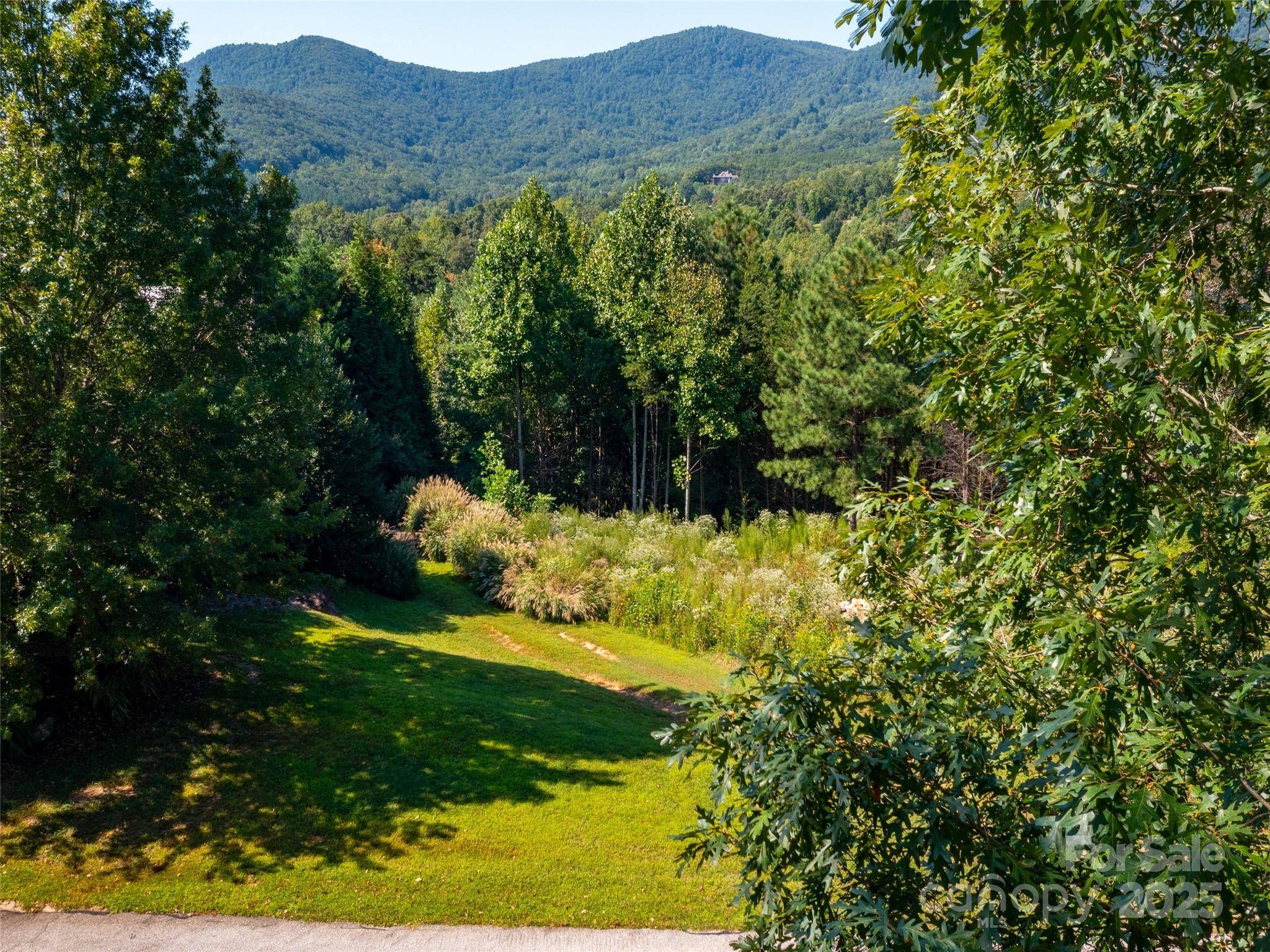 Mill Spring, NC 28756,00 Chestertown DR #85
