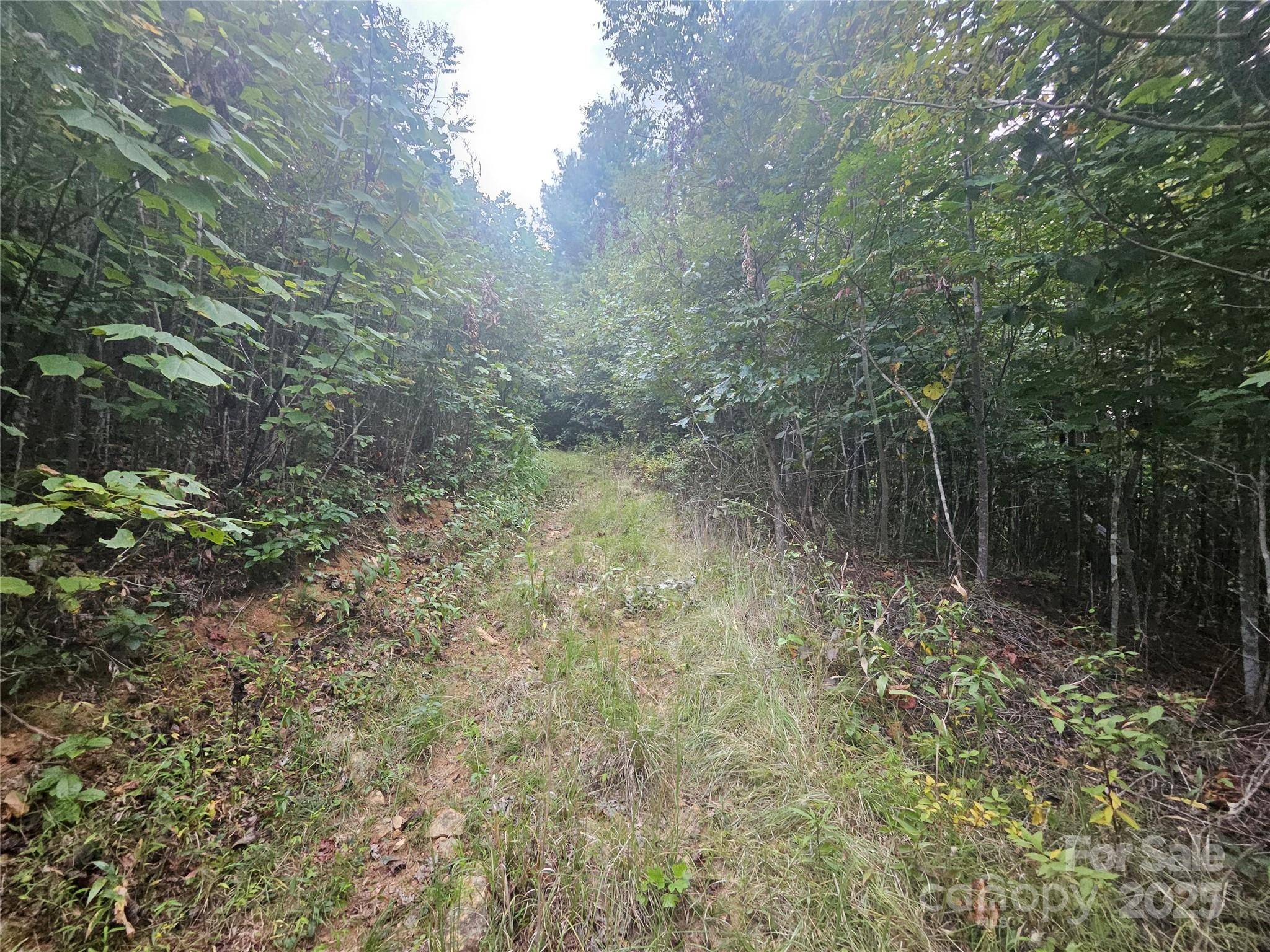 Green Mountain, NC 28740,000 Double Island RD