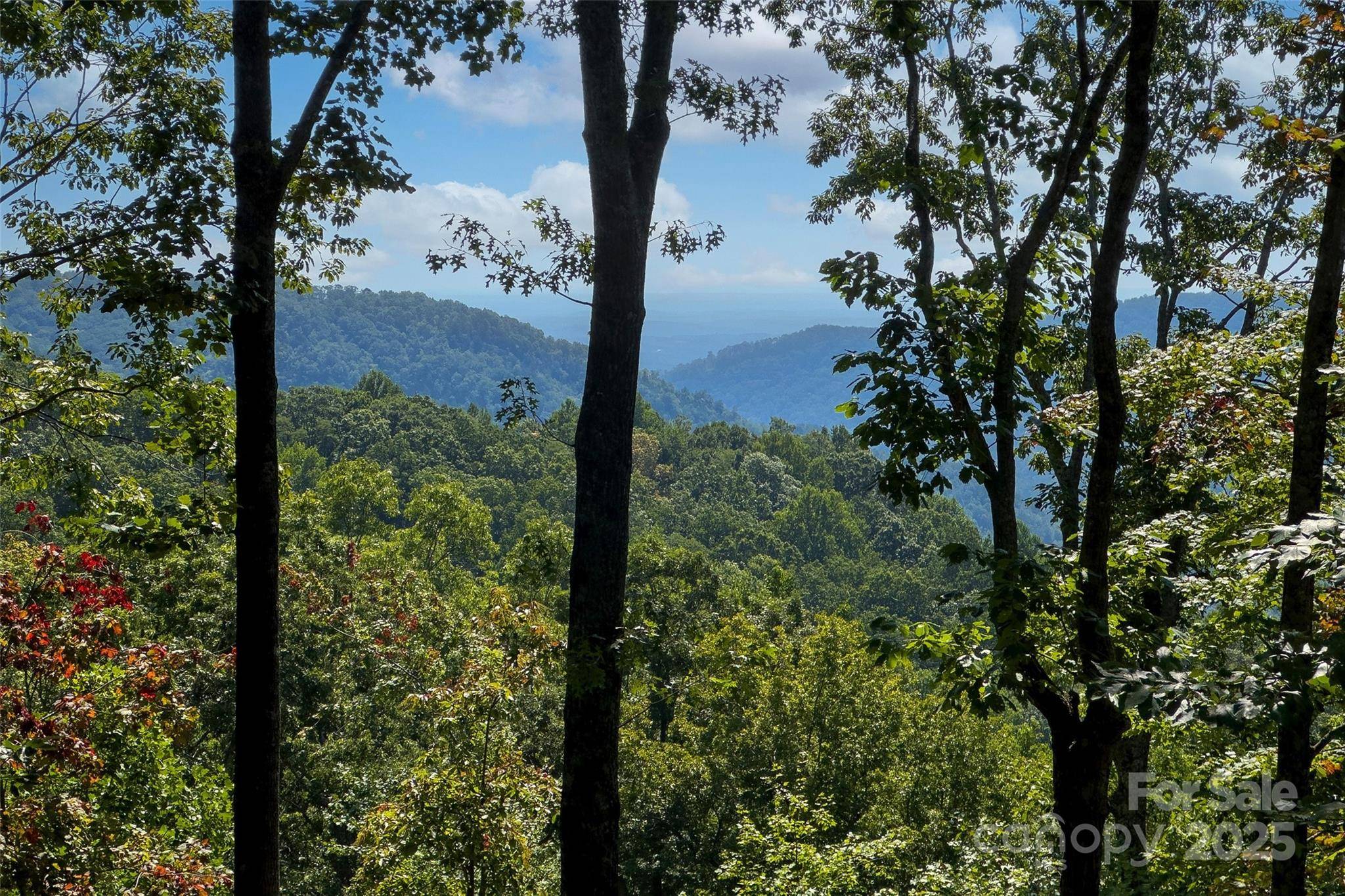 Old Fort, NC 28762,789 Mckenzie WAY S