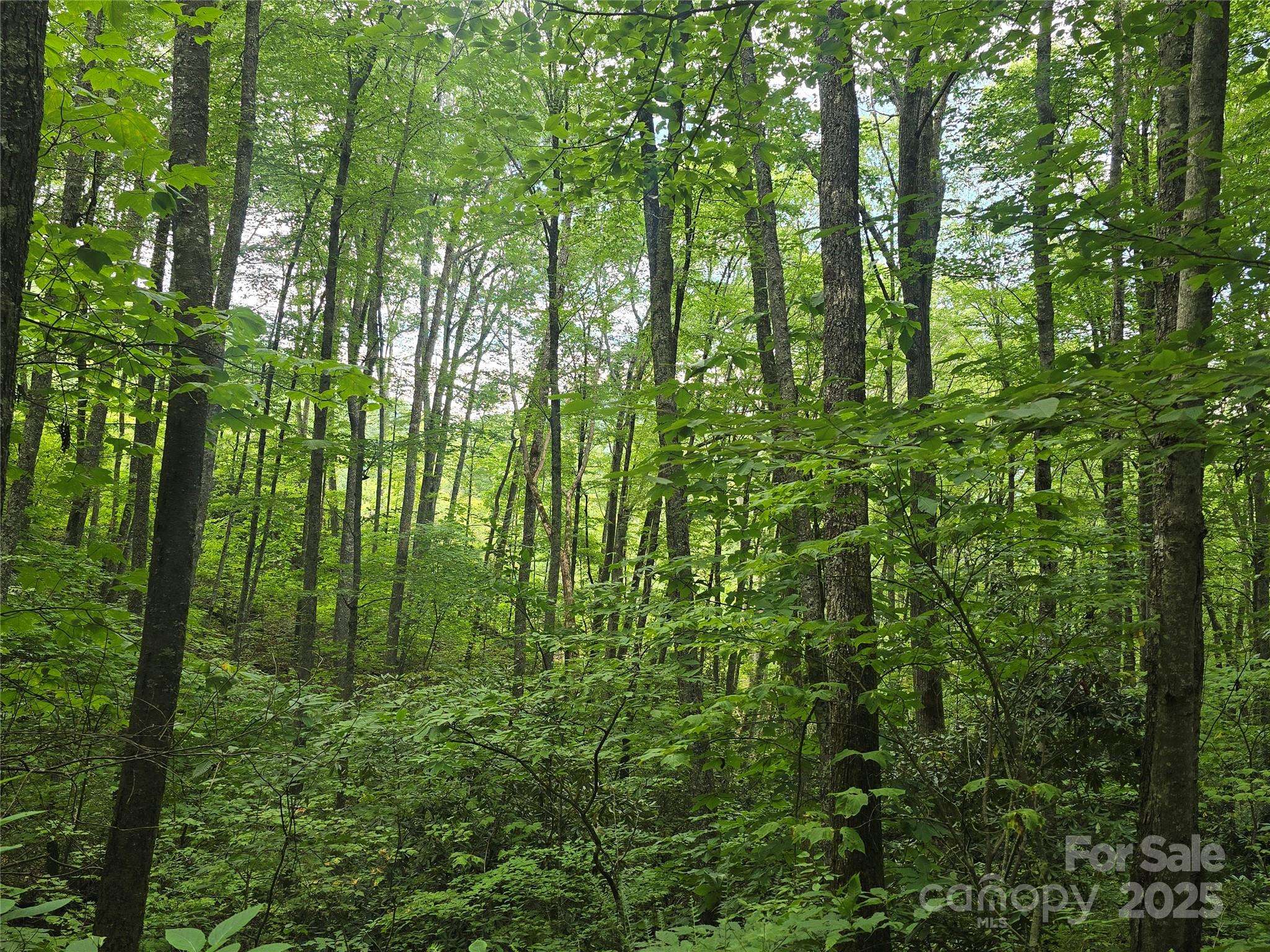 Cullowhee, NC 28723,Lt 7 Buck Knob None