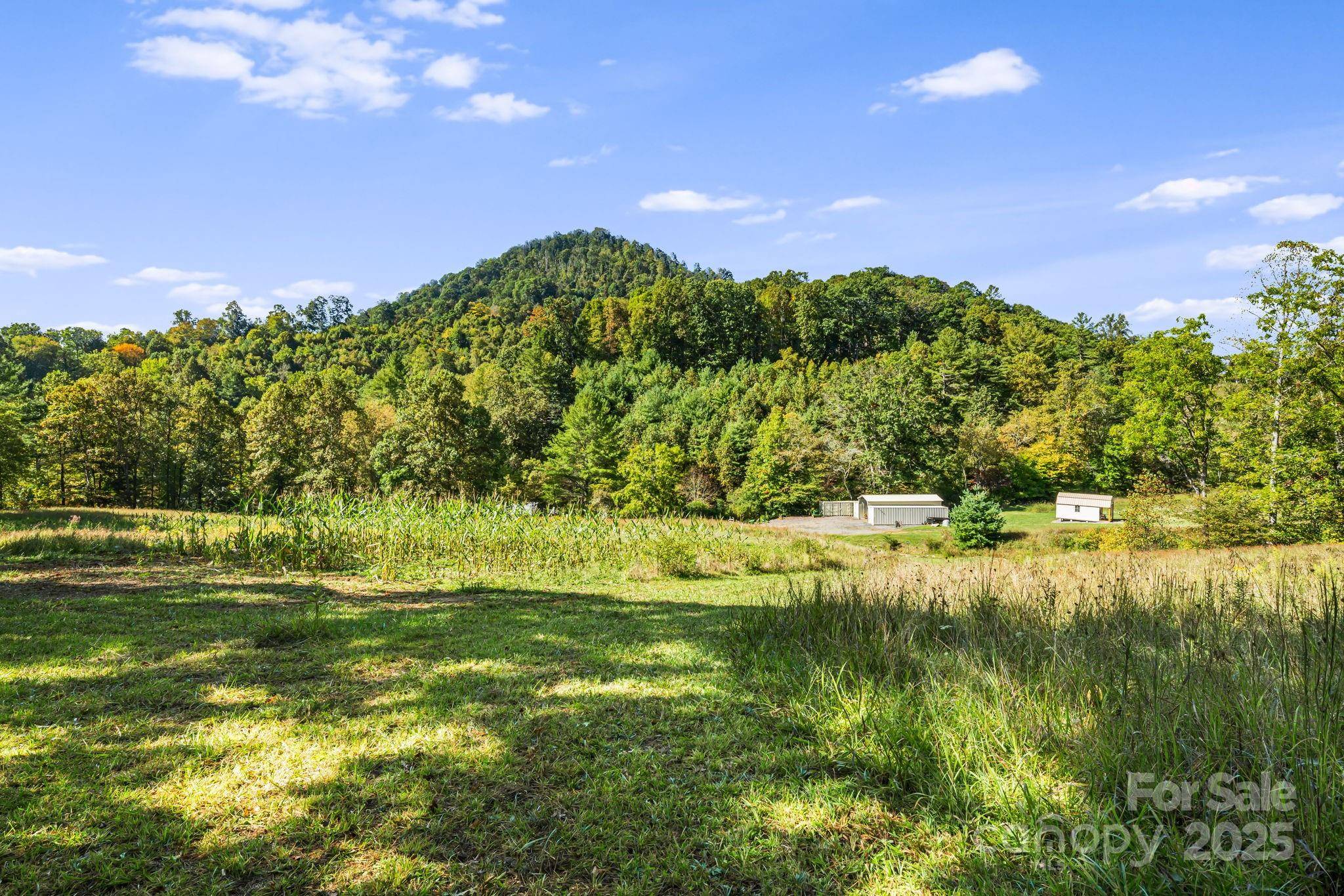 Burnsville, NC 28714,456 Maney Branch RD