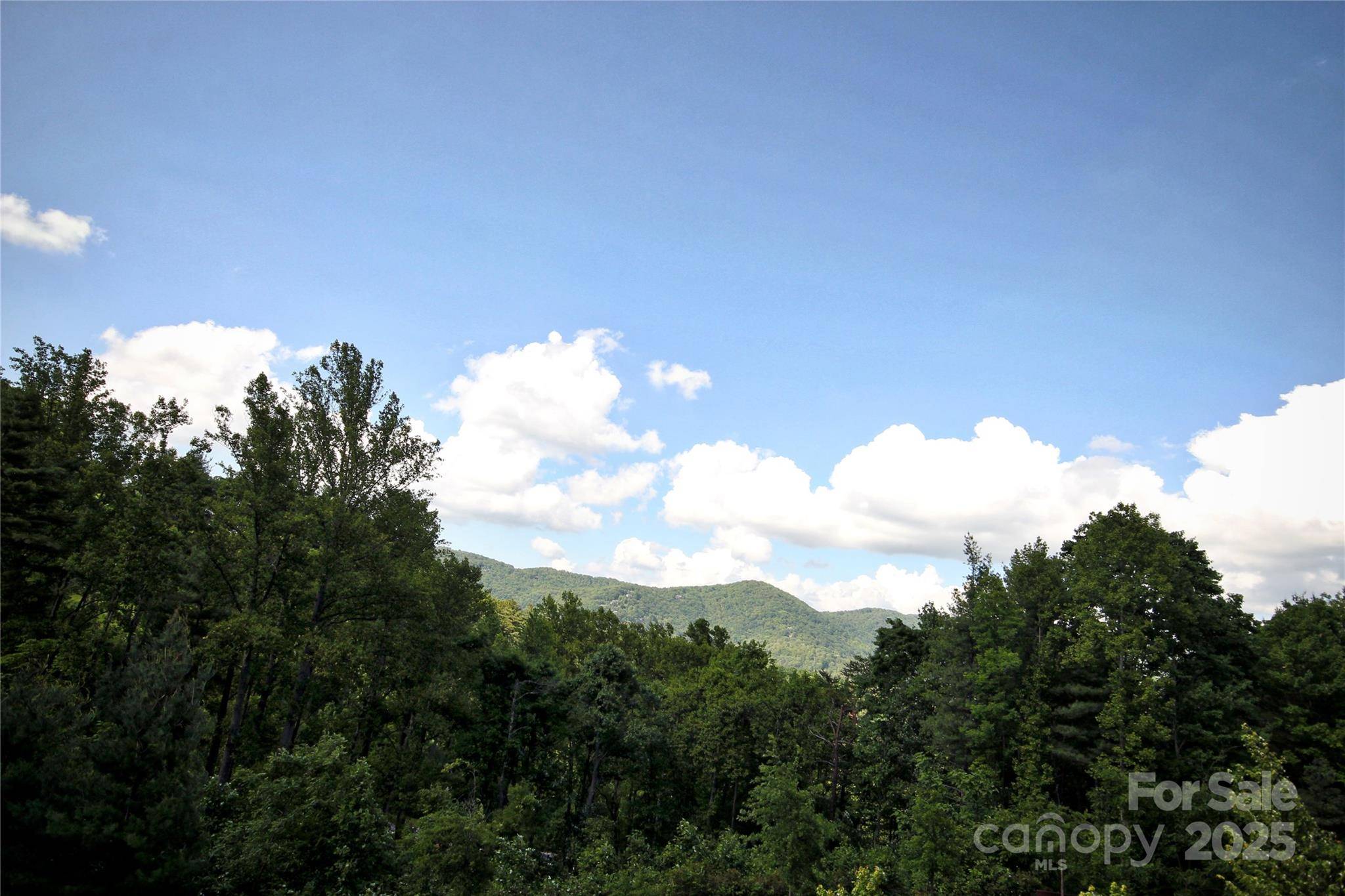 Asheville, NC 28804,68 Wolfebridge LN #16