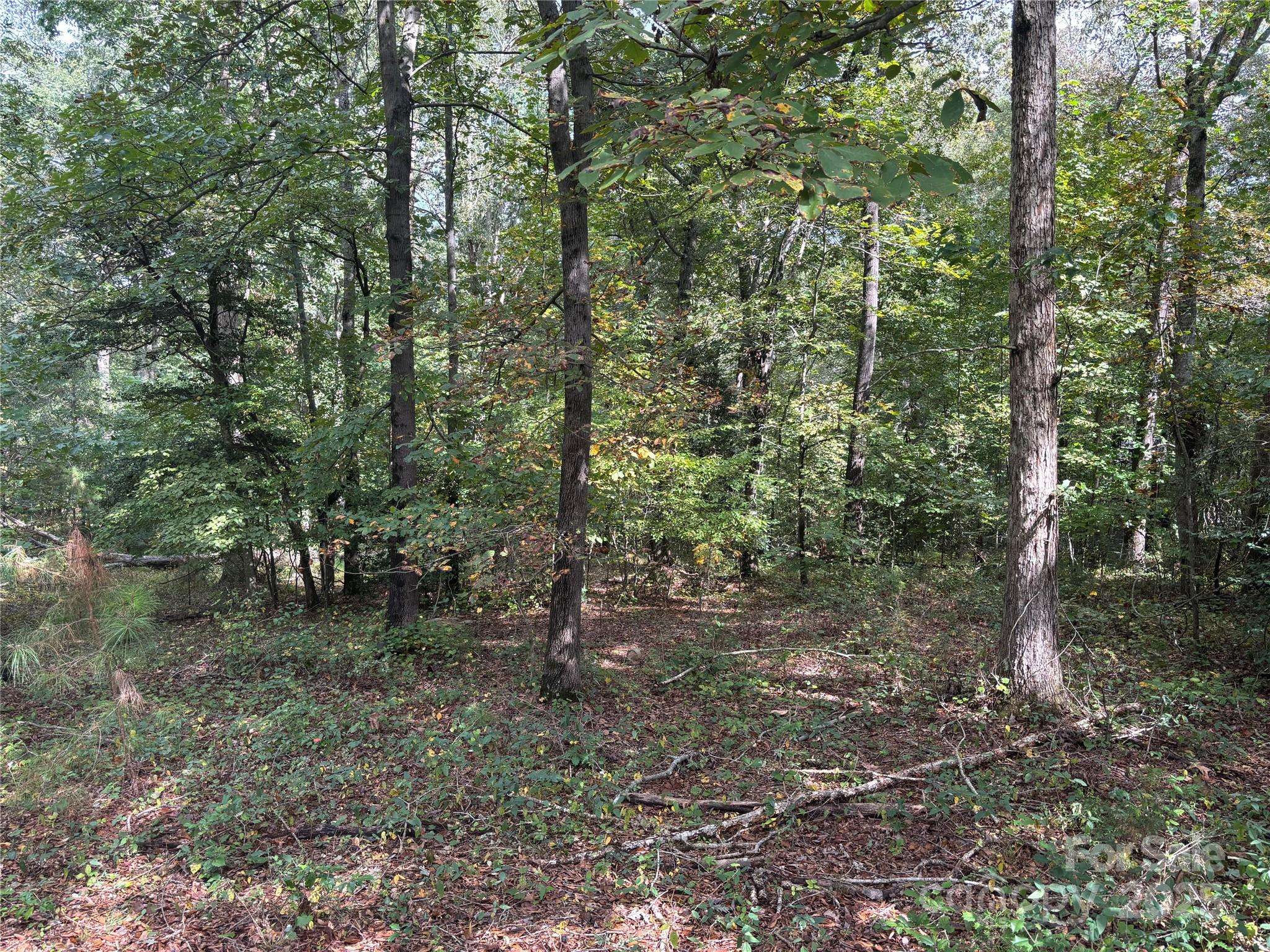 Shelby, NC 28150,000 Barbee RD