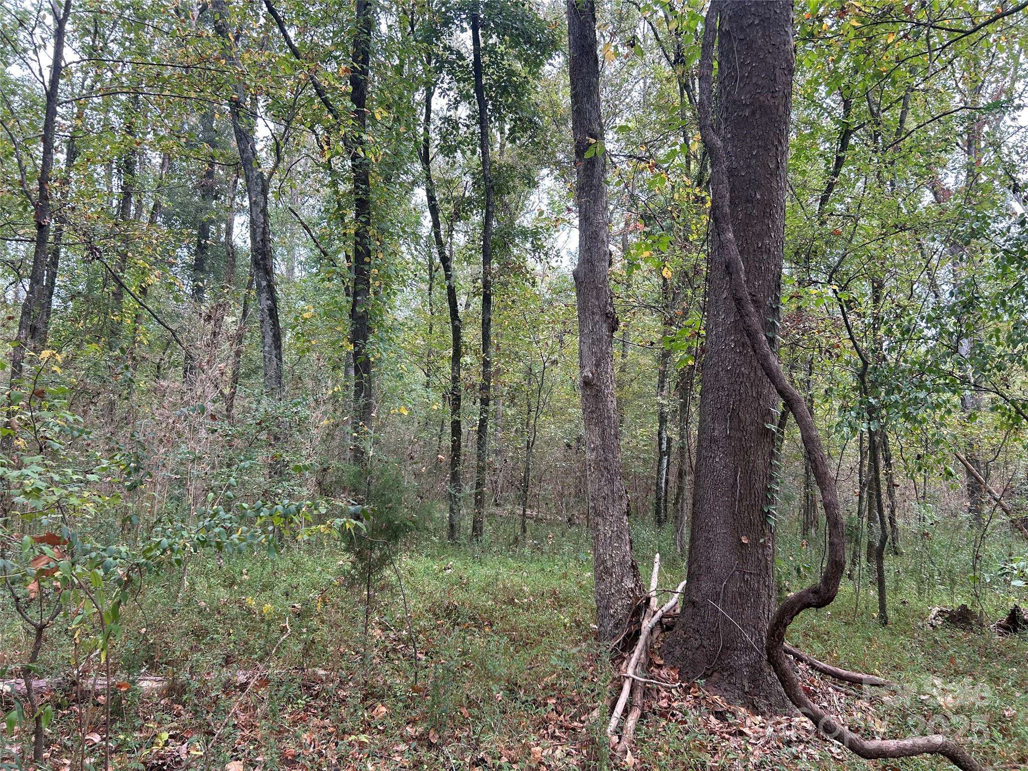 Chester, SC 29706,4.3 AC Lancaster Hwy HWY