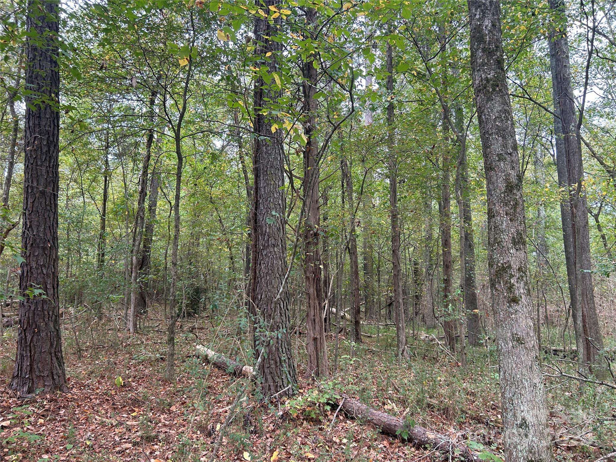 Chester, SC 29706,4.3 AC Lancaster Hwy HWY