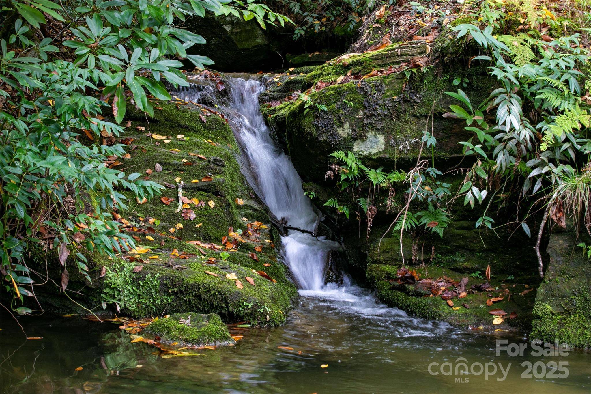 Brevard, NC 28712,923 Ugugu DR