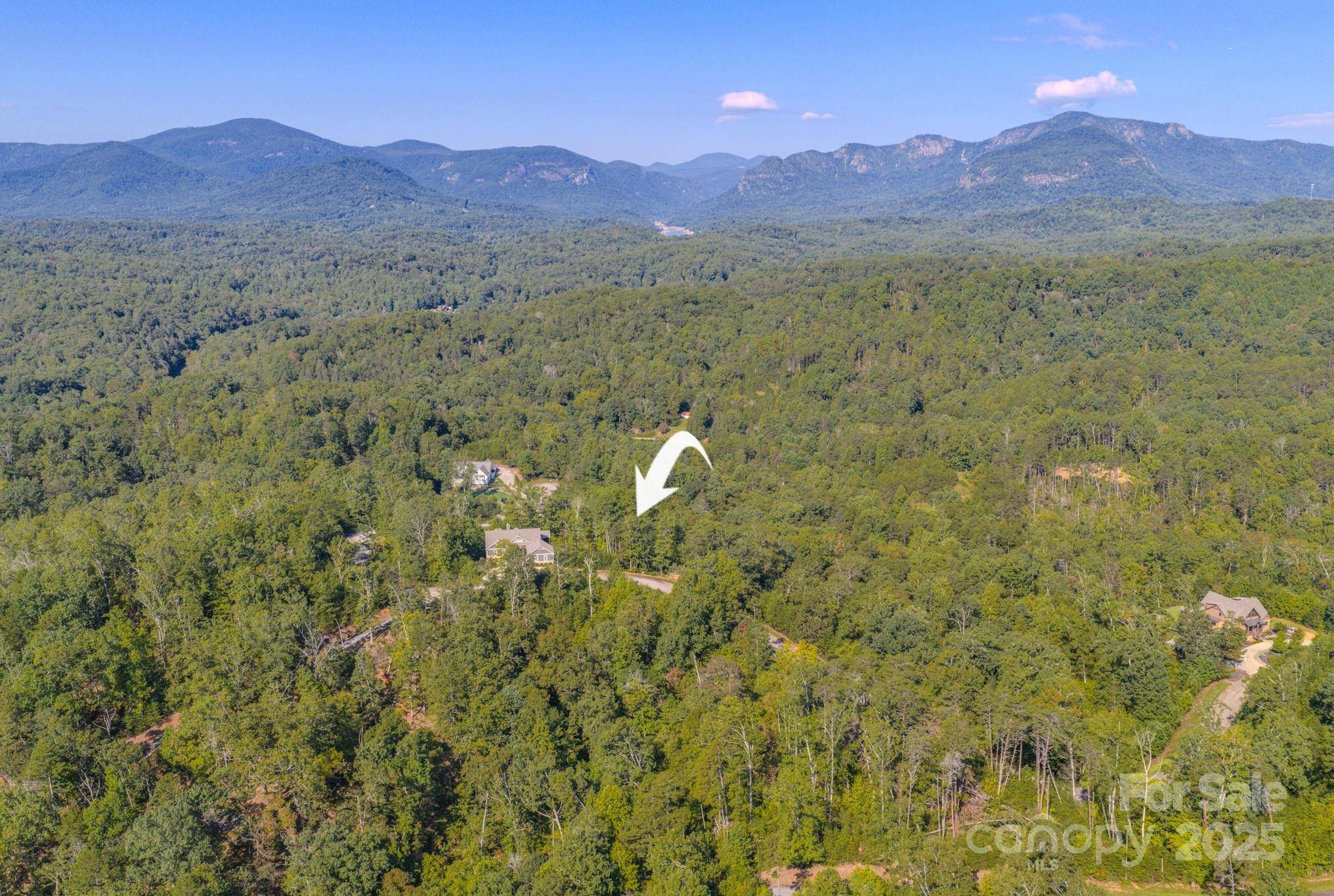 Lake Lure, NC 28746,0 Willow Top LN #332