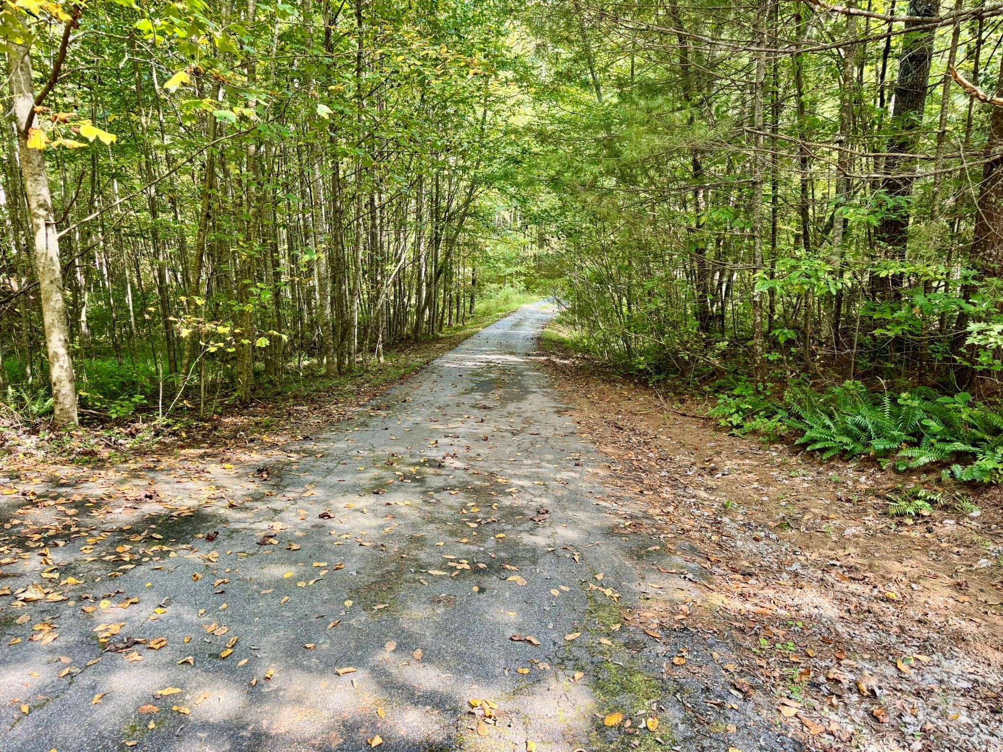 Hendersonville, NC 28739,Lot 28 Settlers Ridge RD