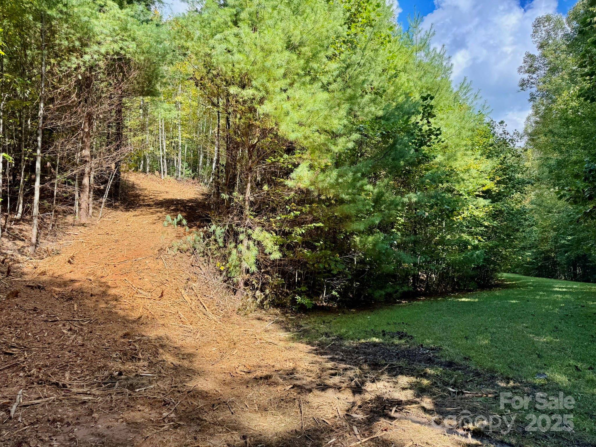 Hendersonville, NC 28739,Lot 28 Settlers Ridge RD
