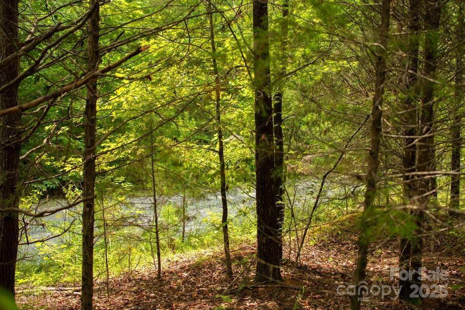Rutherfordton, NC 28139,145 Stroud Mountain TRL #85