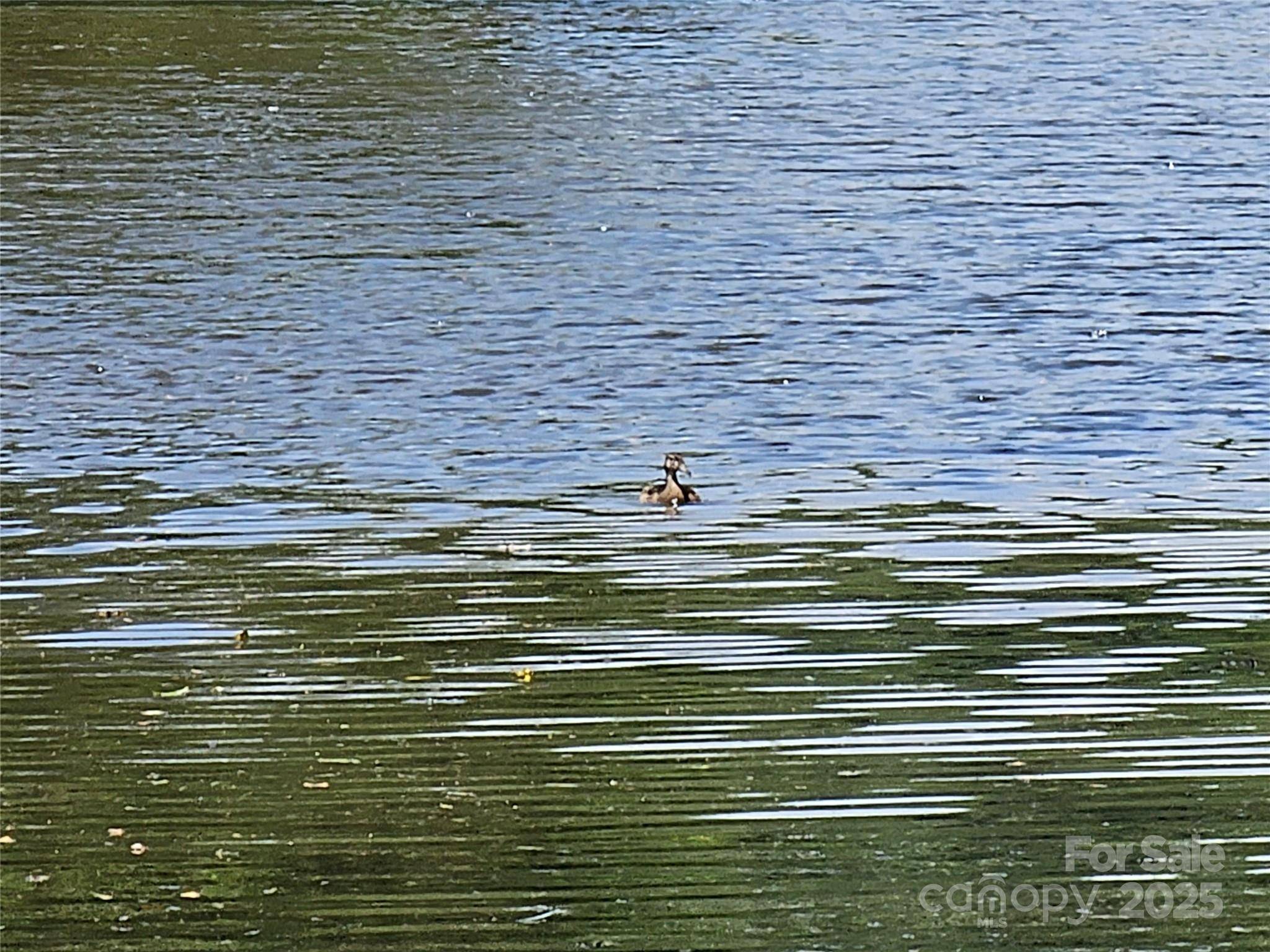 Granite Falls, NC 28680,0 Waters Edge DR #84