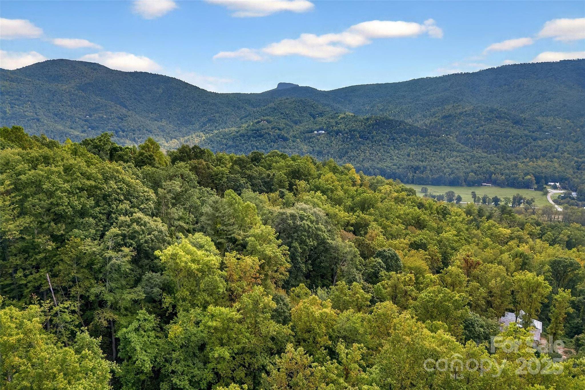 Marion, NC 28752,99999 Rocky Branch TRL