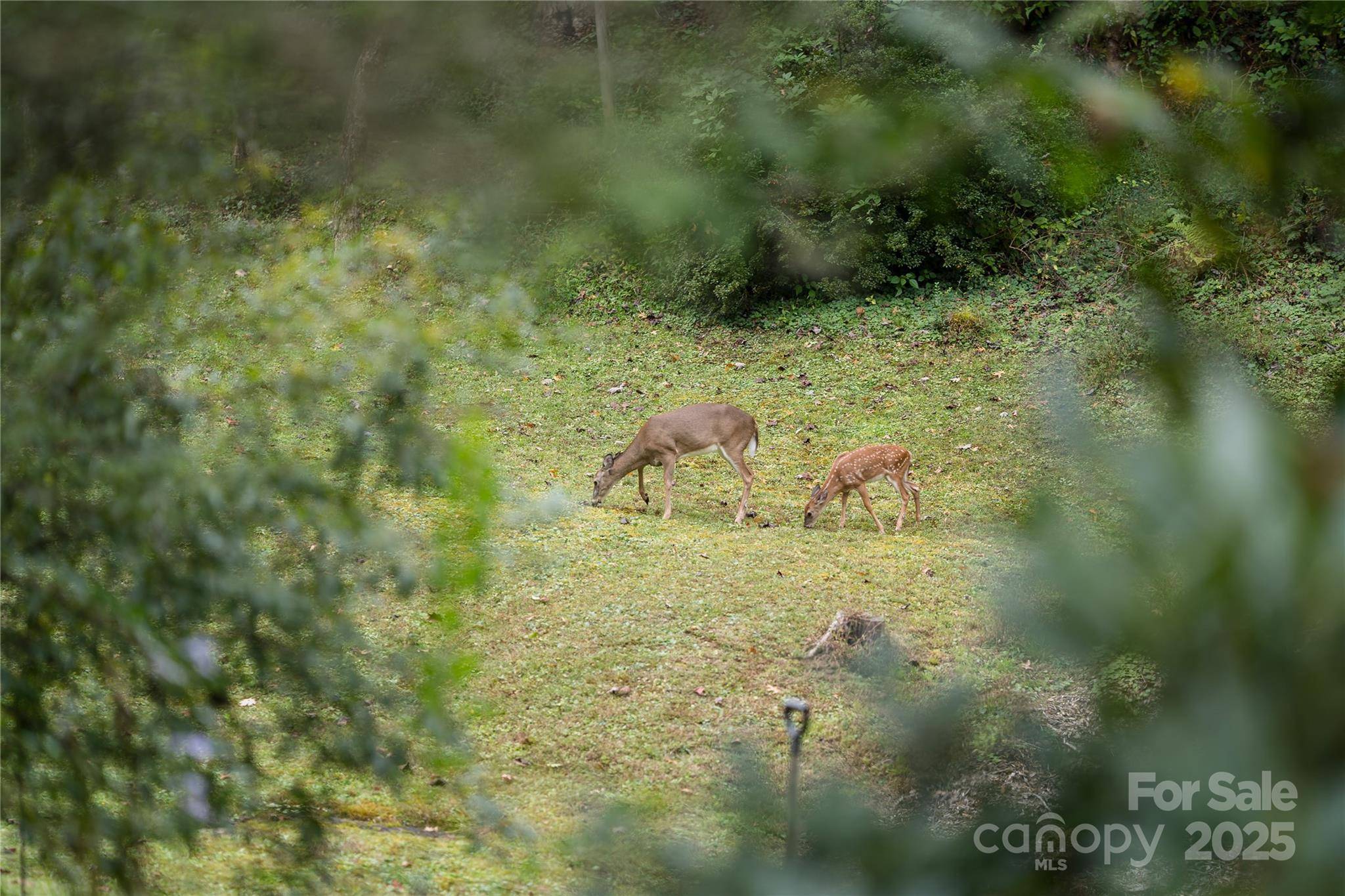 Sylva, NC 28779,275 Knob Hill Estates RD