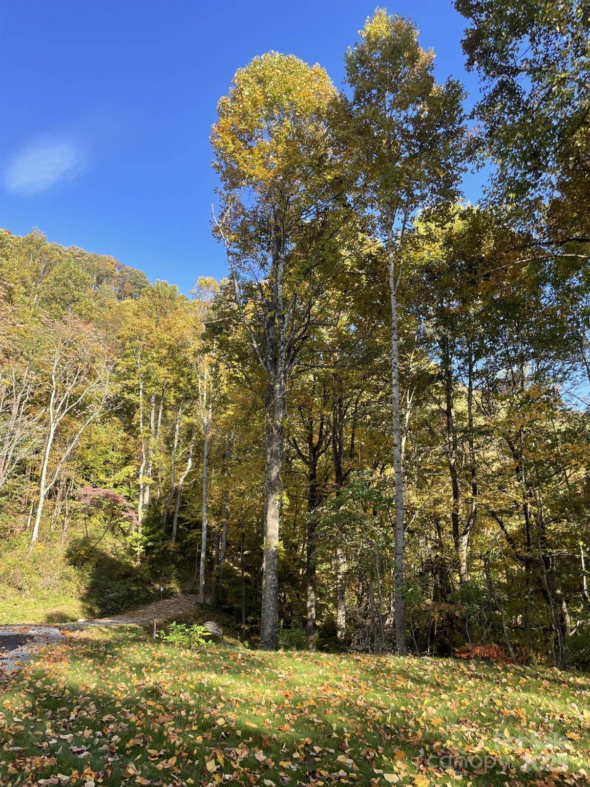 Hendersonville, NC 28792,00000 New Sprout LN #1