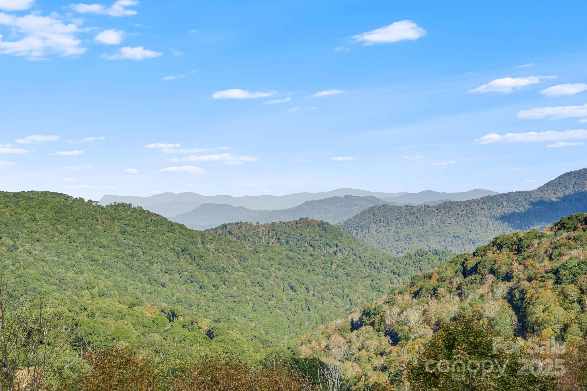 Mars Hill, NC 28754,2541 Wolf Laurel RD #207