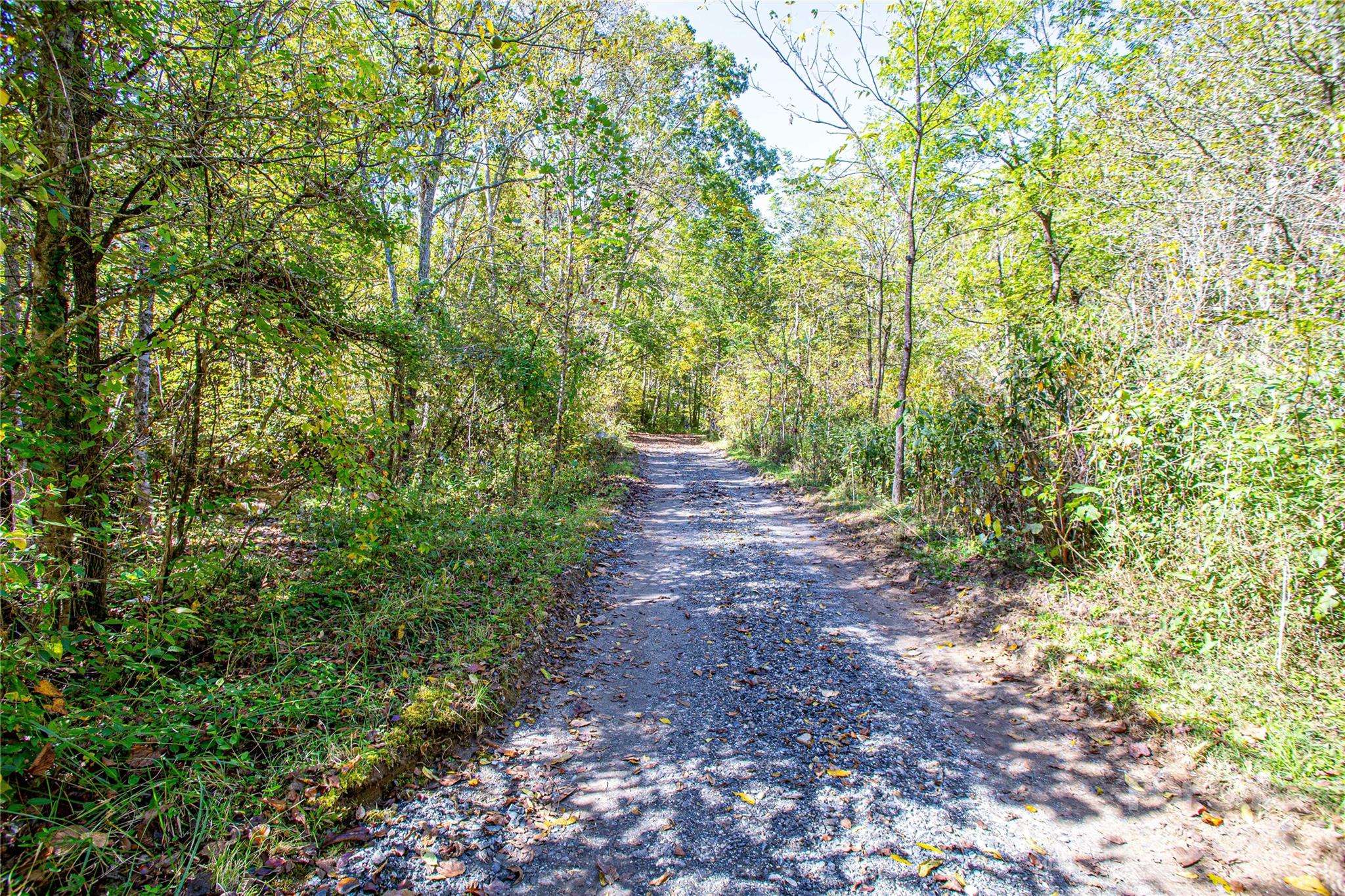 Barnardsville, NC 28709,10 Dodd RD