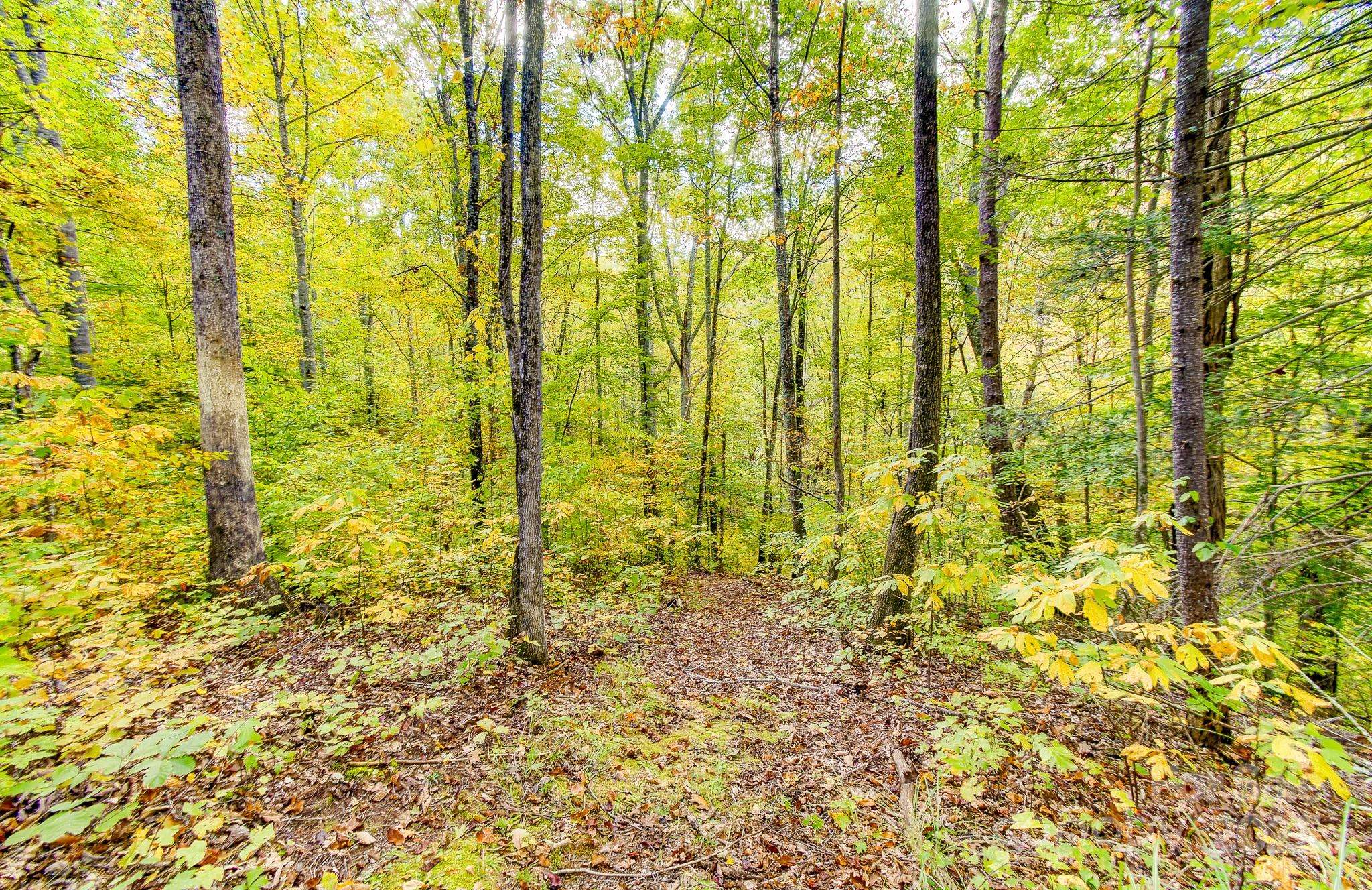 Weaverville, NC 28787,443 Glen Valley DR