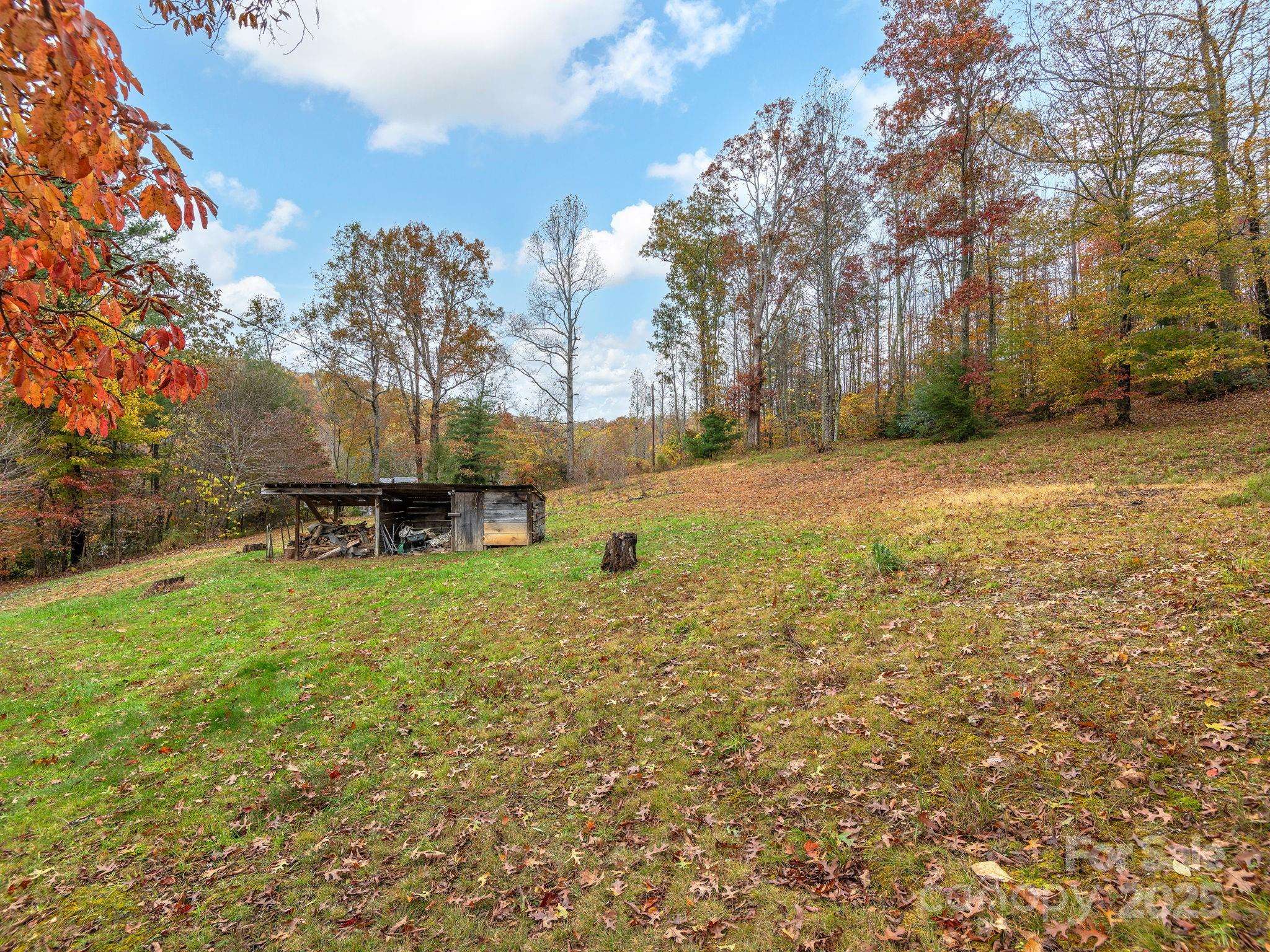 Fairview, NC 28730,6 Star Berry LN