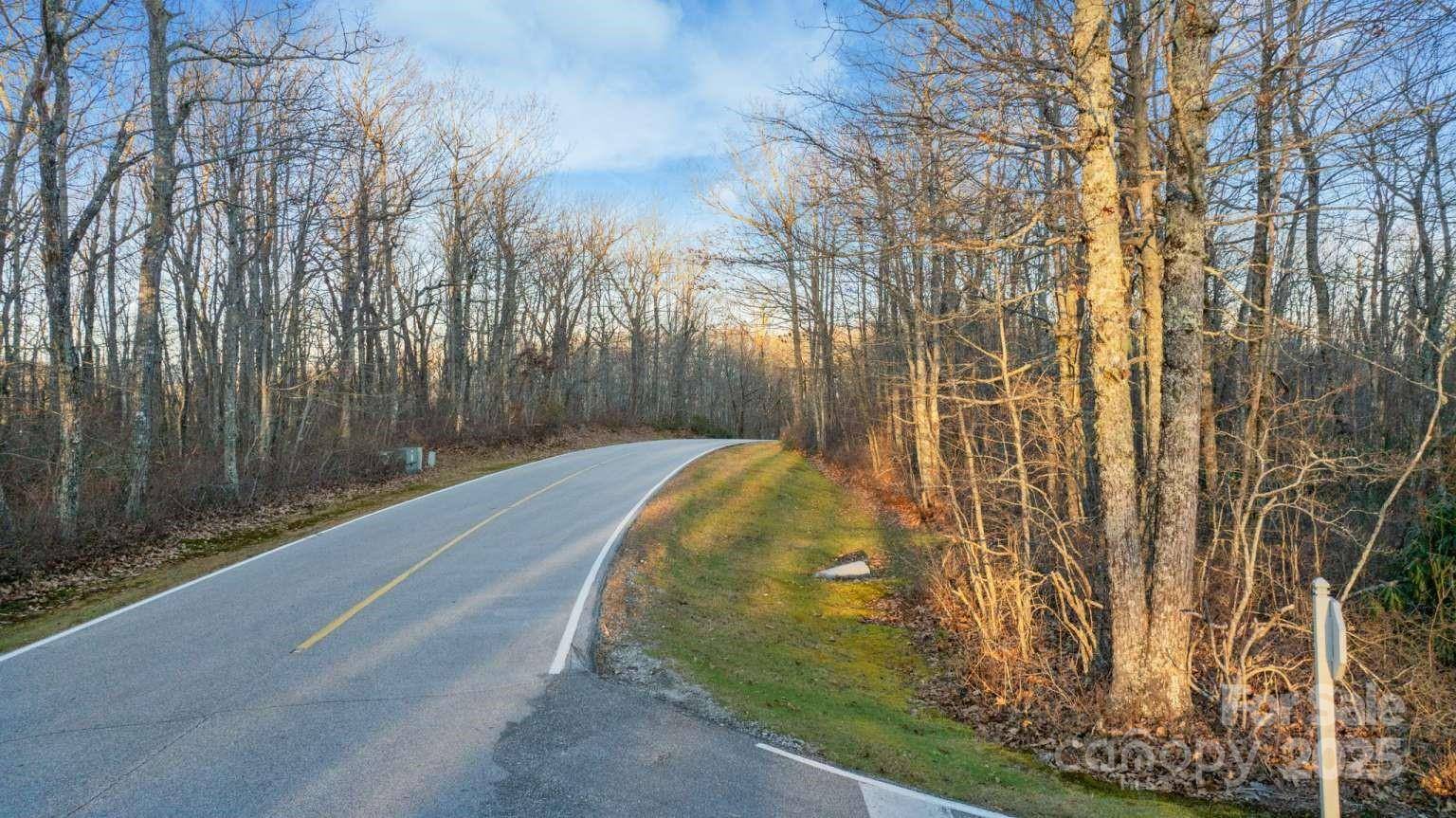 Lake Toxaway, NC 28747,00 Panthertown RD