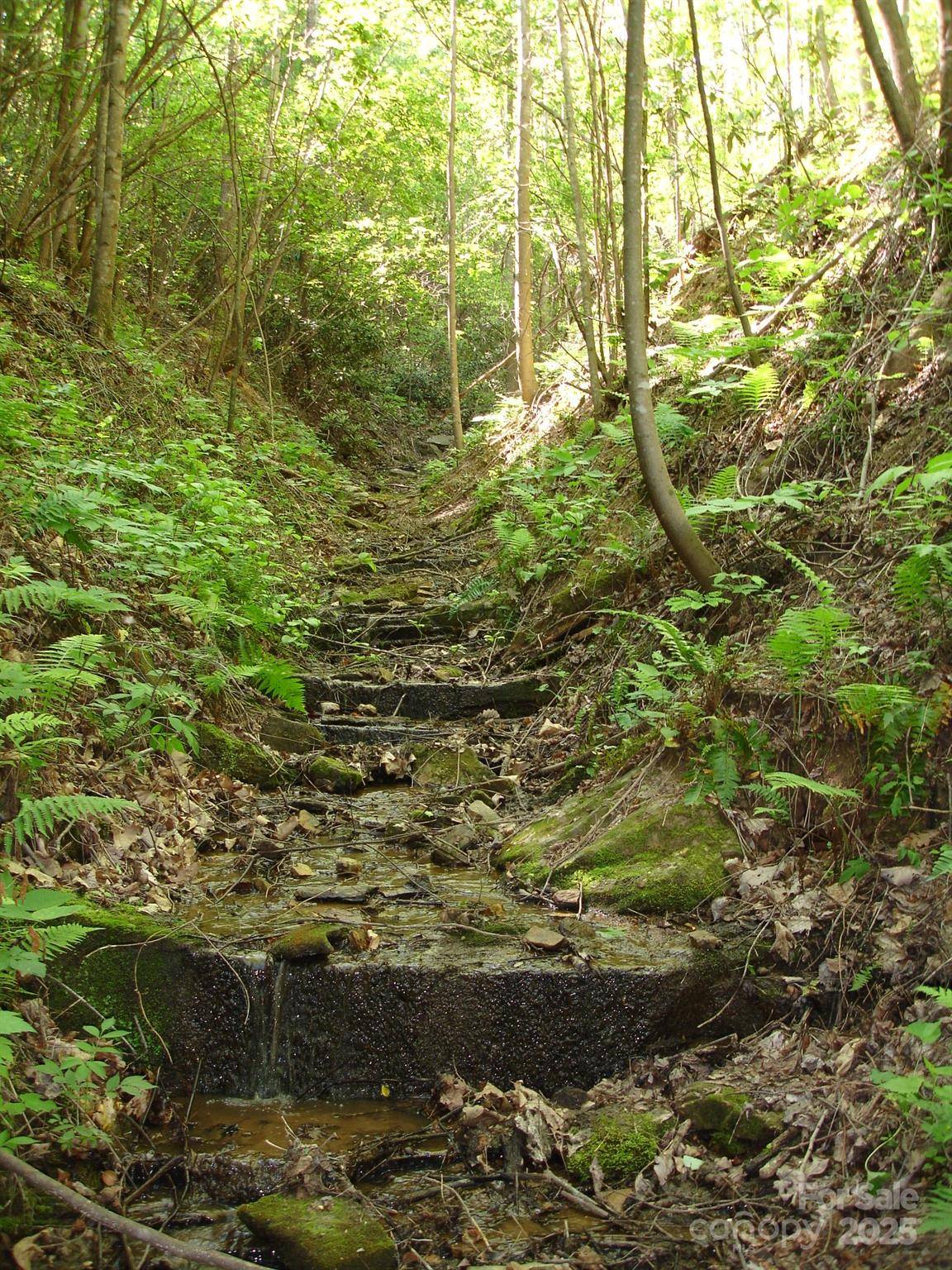 Marion, NC 28752,TBD Black Lark DR