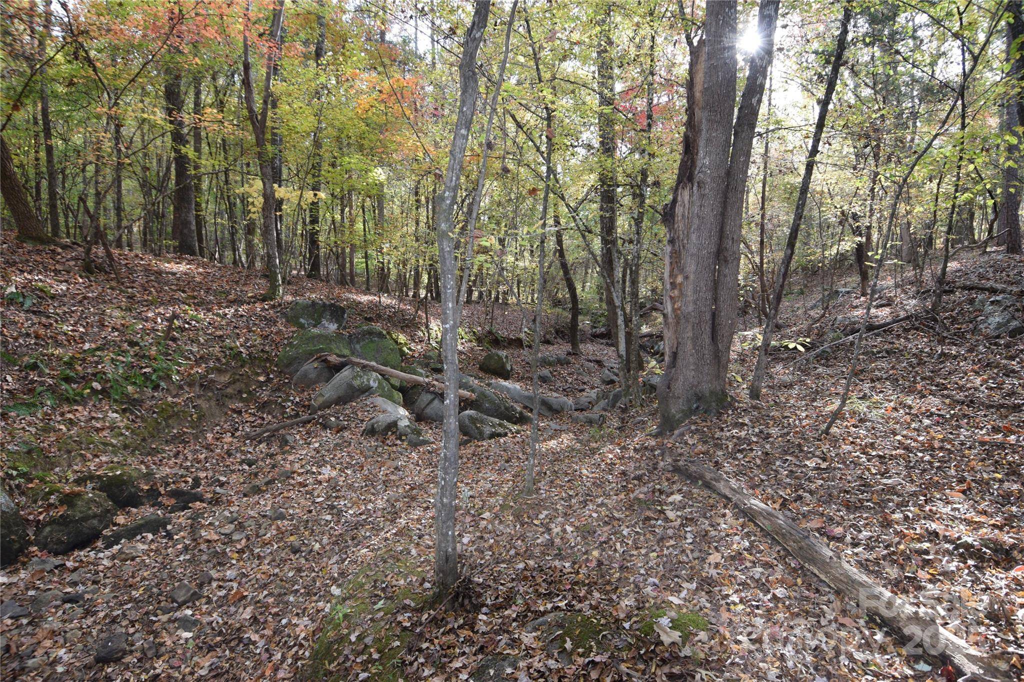 Sharon, SC 29742,3537 Shillinglaw RD