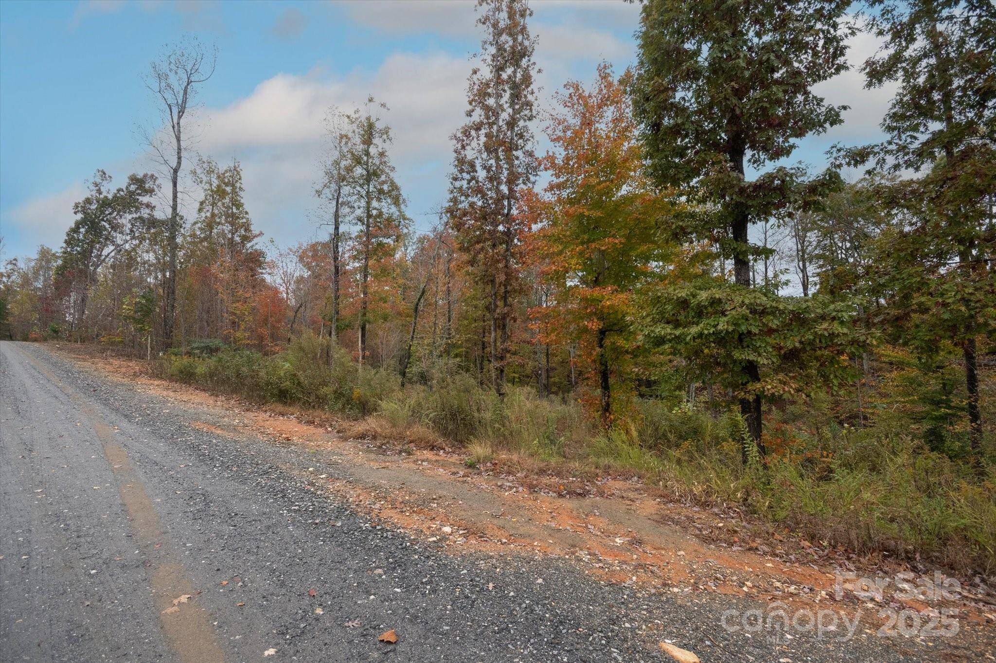 Nebo, NC 28761,269 Mooseheart RD