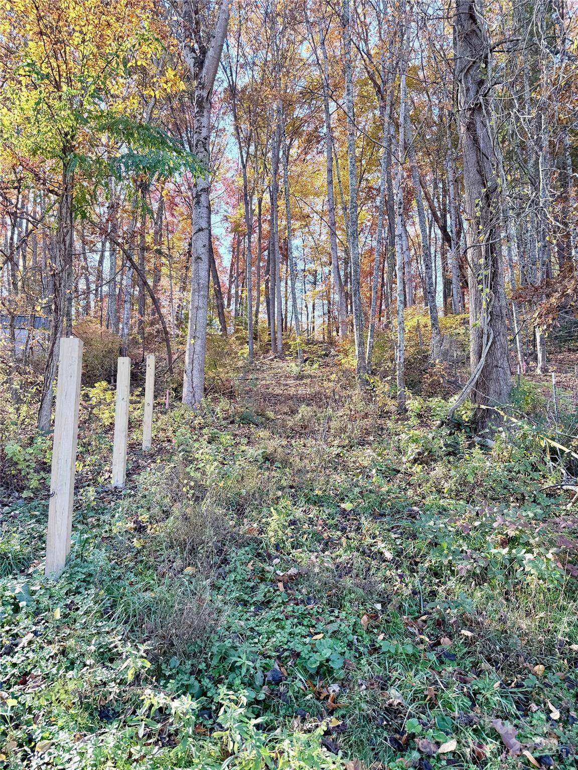 Leicester, NC 28748,99999 Dix Creek No 1 RD