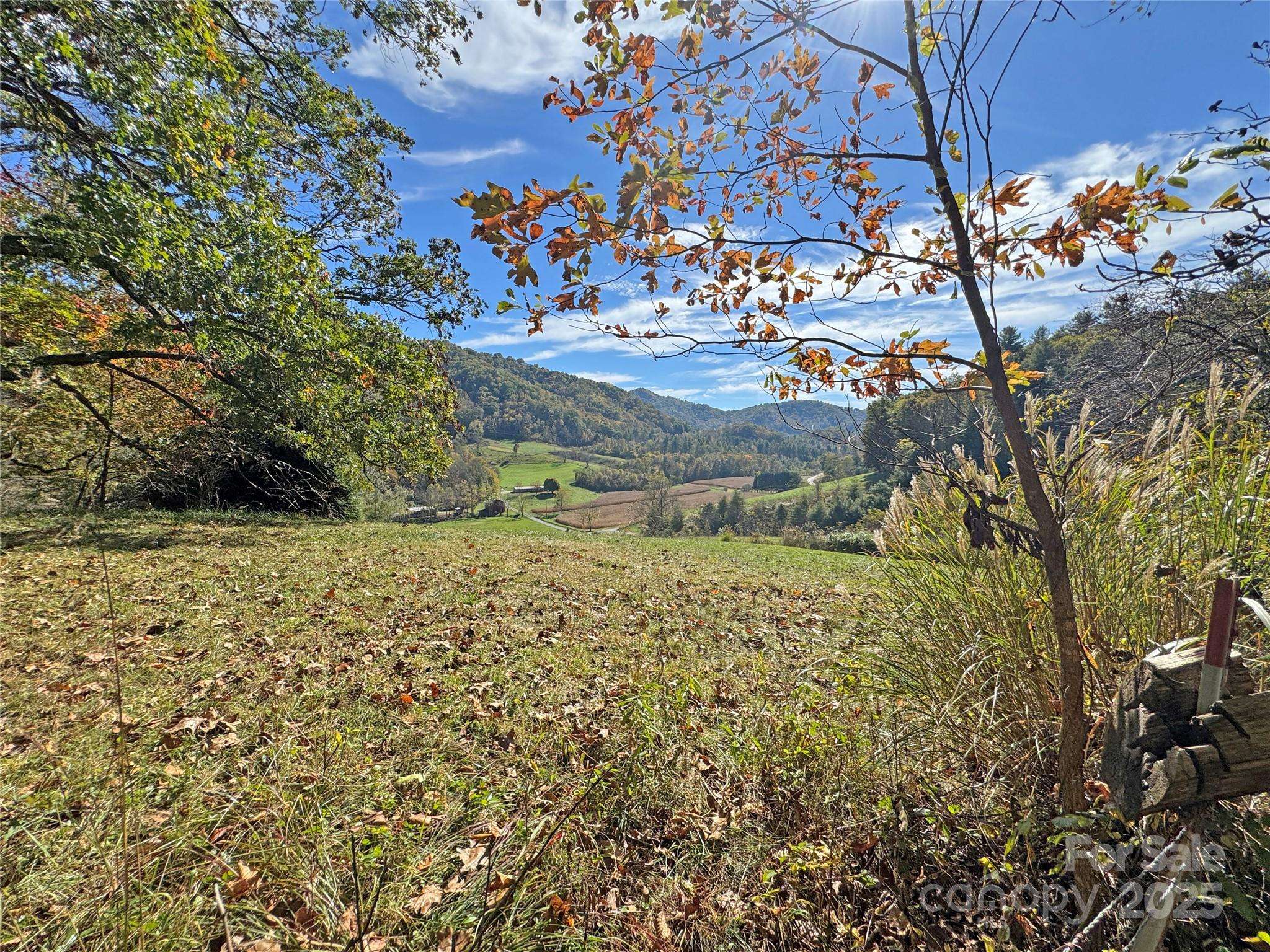 Mars Hill, NC 28754,TBD Paint Fork RD