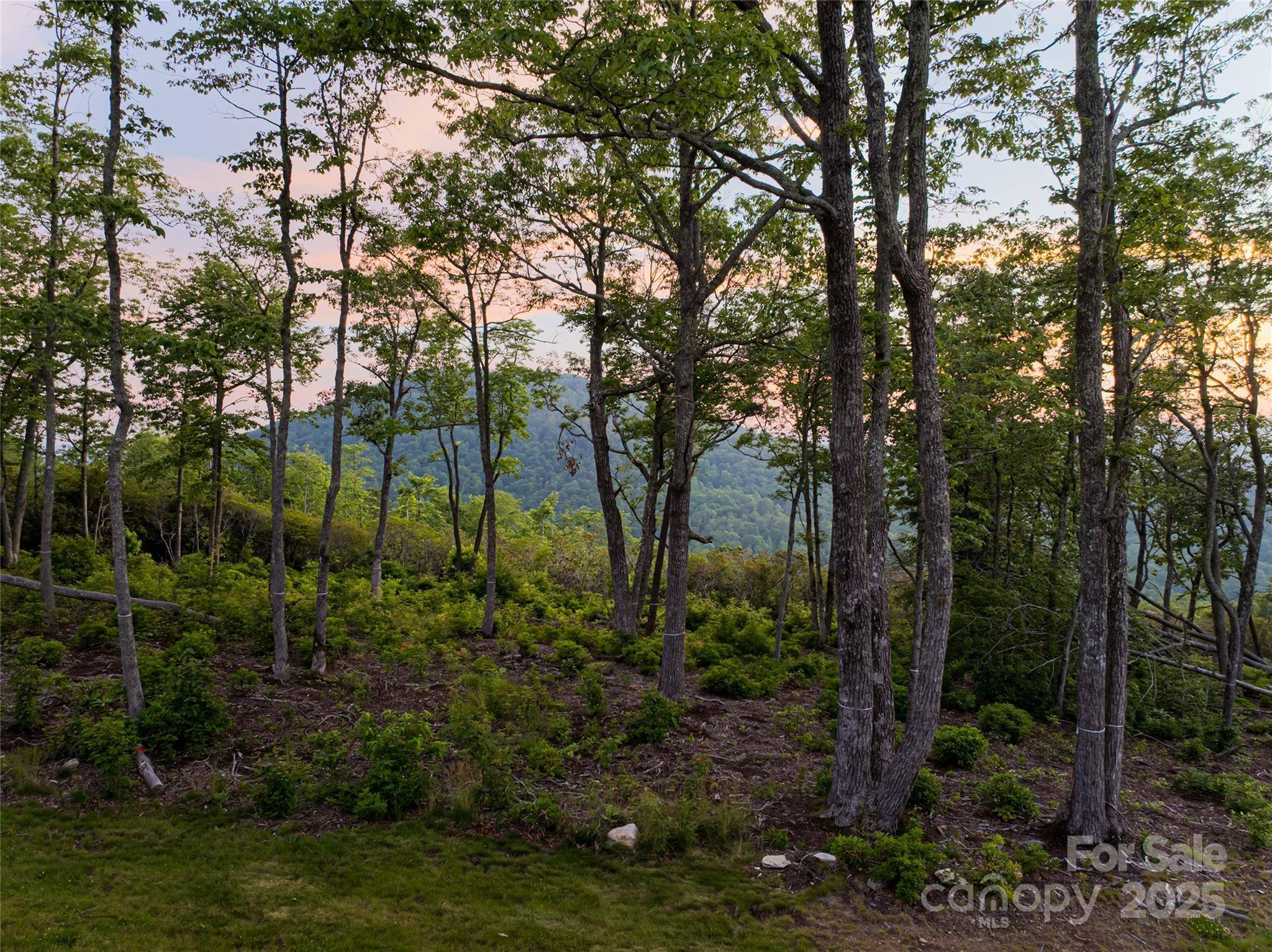 Hendersonville, NC 28792,591 Garden LN