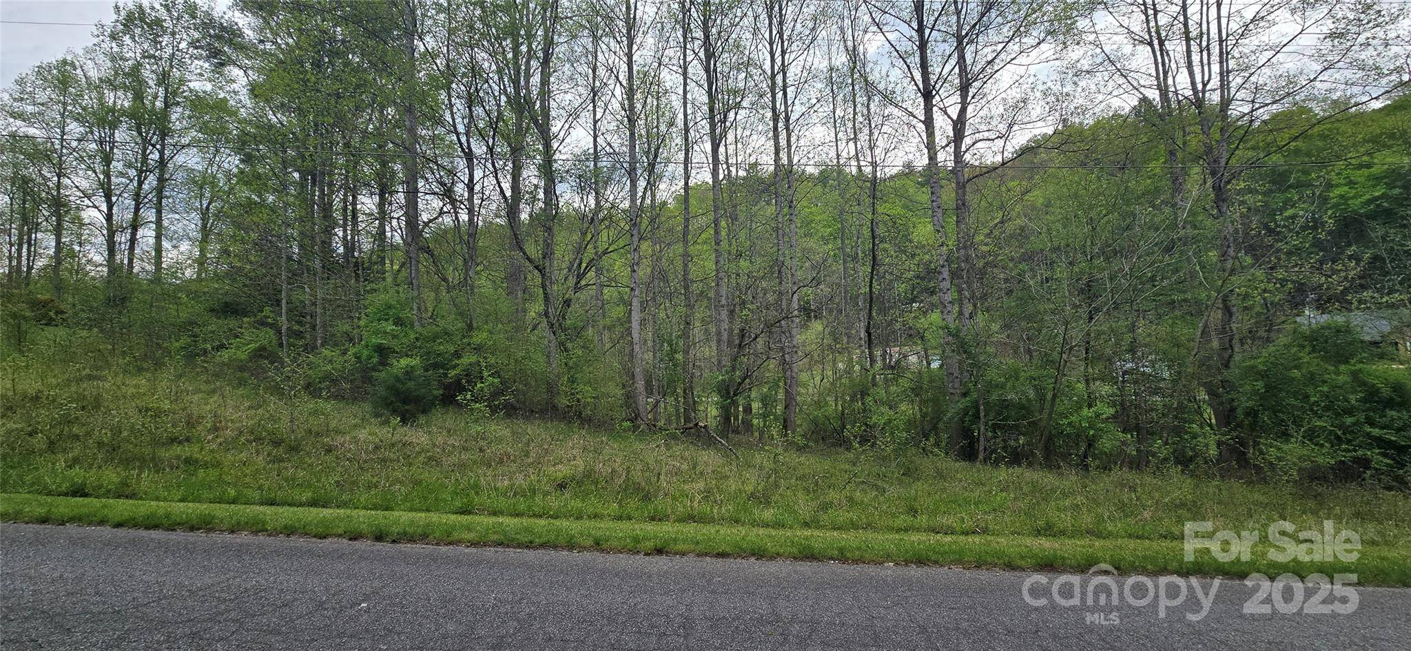 Lenoir, NC 28645,000 Indian TRL