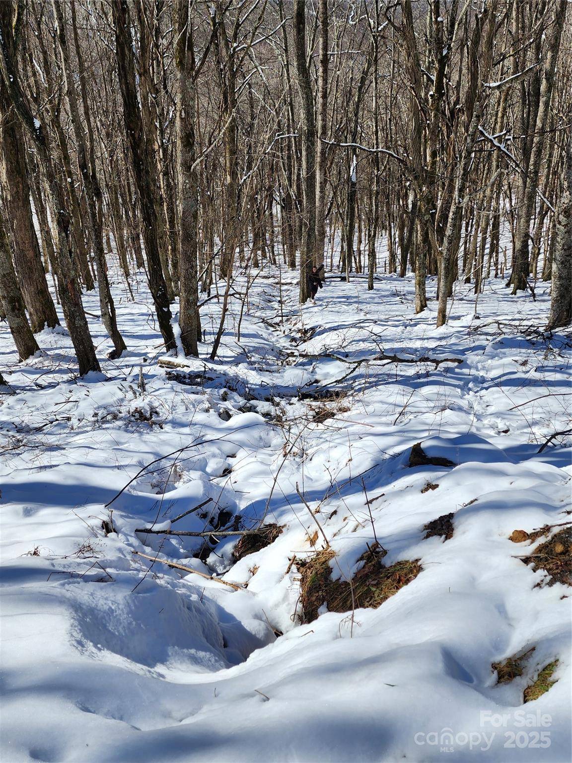 Mars Hill, NC 28754,479 El Miner DR