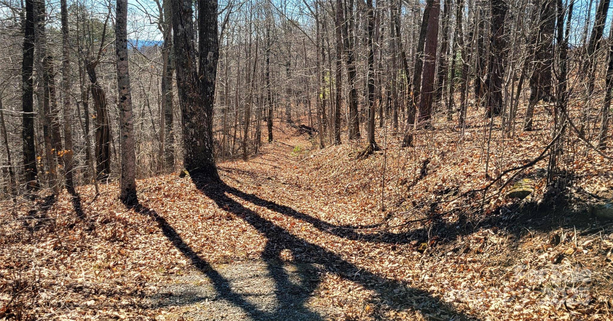 Morganton, NC 28655,6955 Silver Creek LN