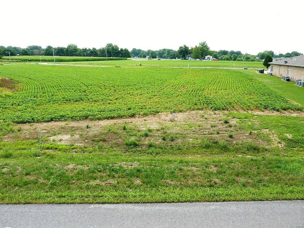 Waterloo, IL 62298,0 Station Crossing Lot 2