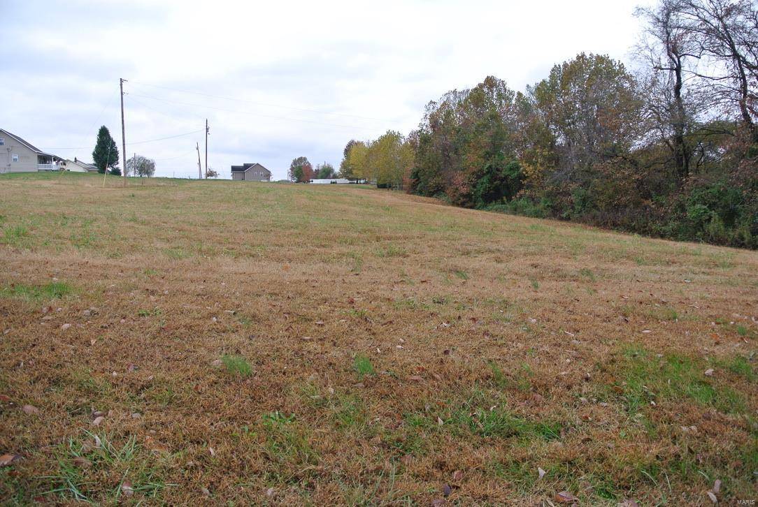 St Mary, MO 63673,0 lot 20 Highway H