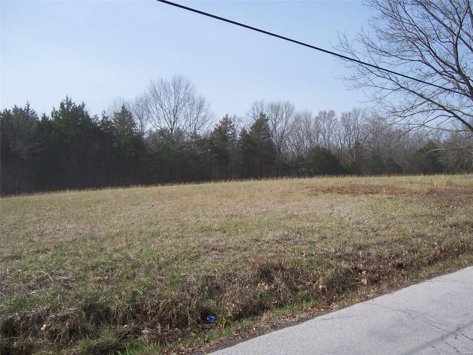 Hillsboro, MO 63050,4680 Liberty School RD #Lot 1