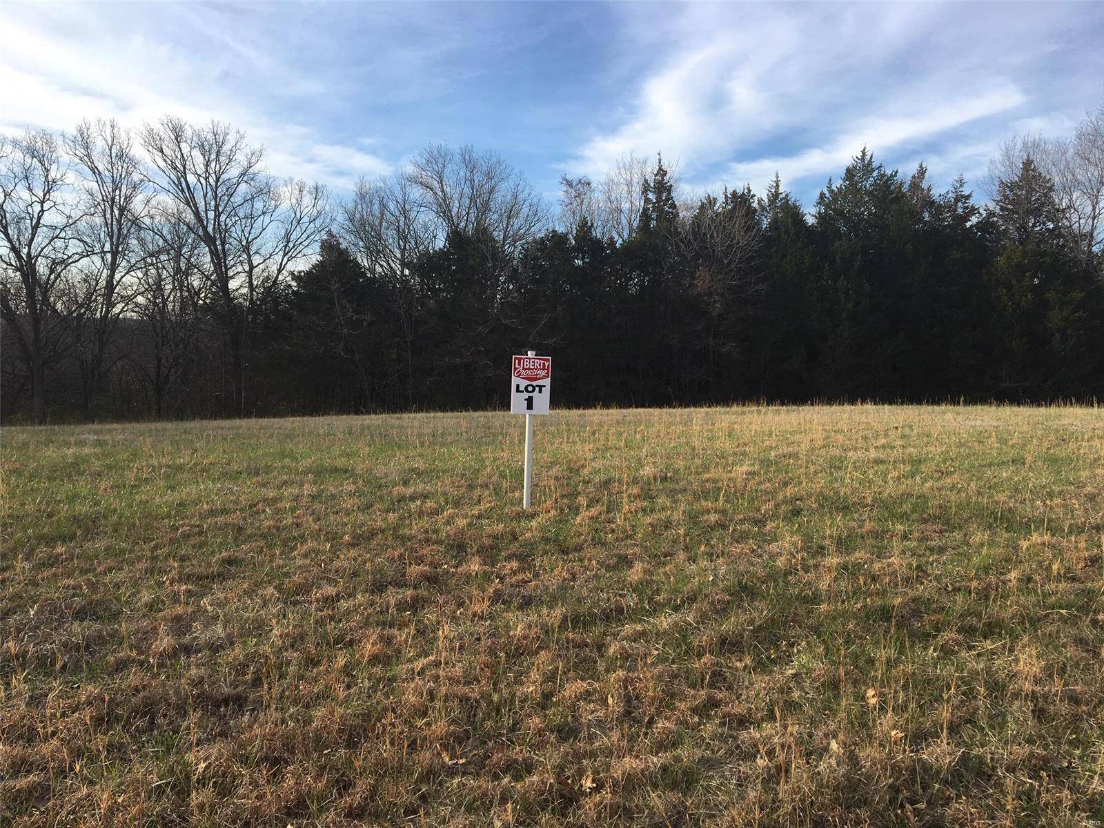 Hillsboro, MO 63050,4680 Liberty School RD #Lot 1