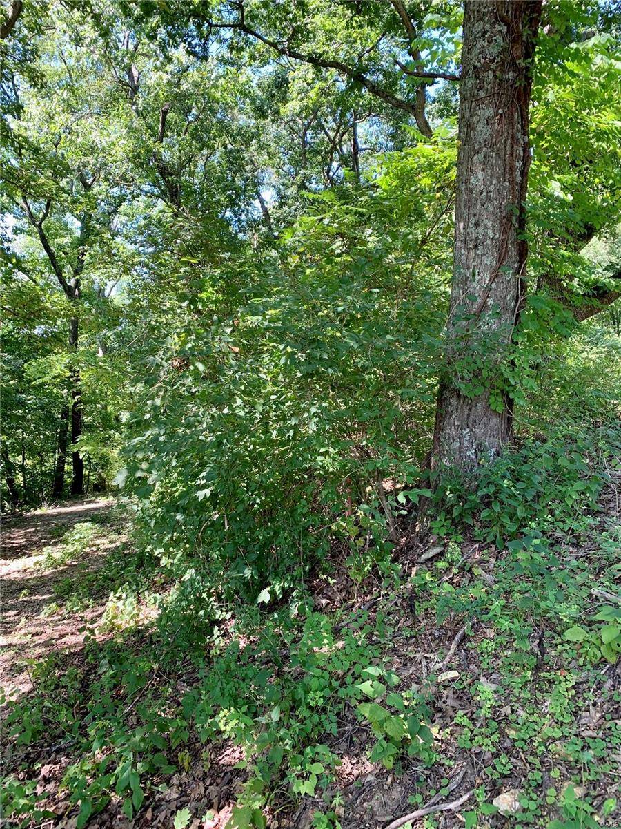 Imperial, MO 63052,0 Lots 5-11 Dogwood Lane