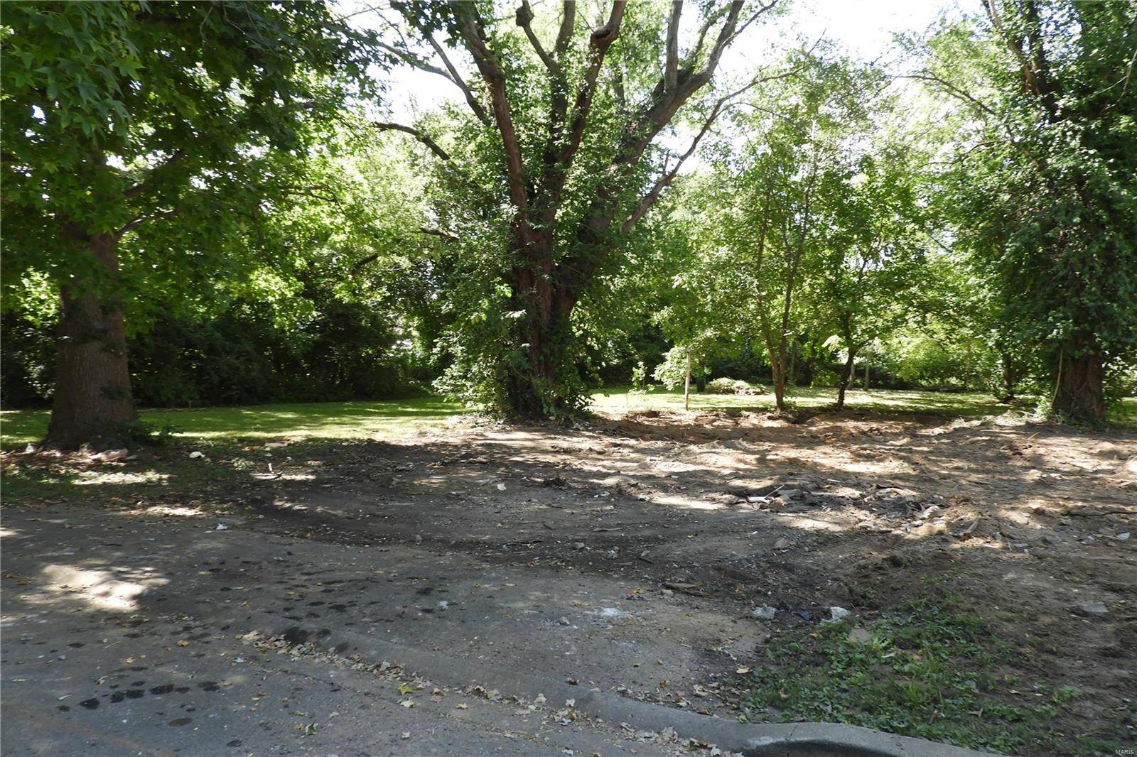 Farmington, MO 63640,203 Nelson ST