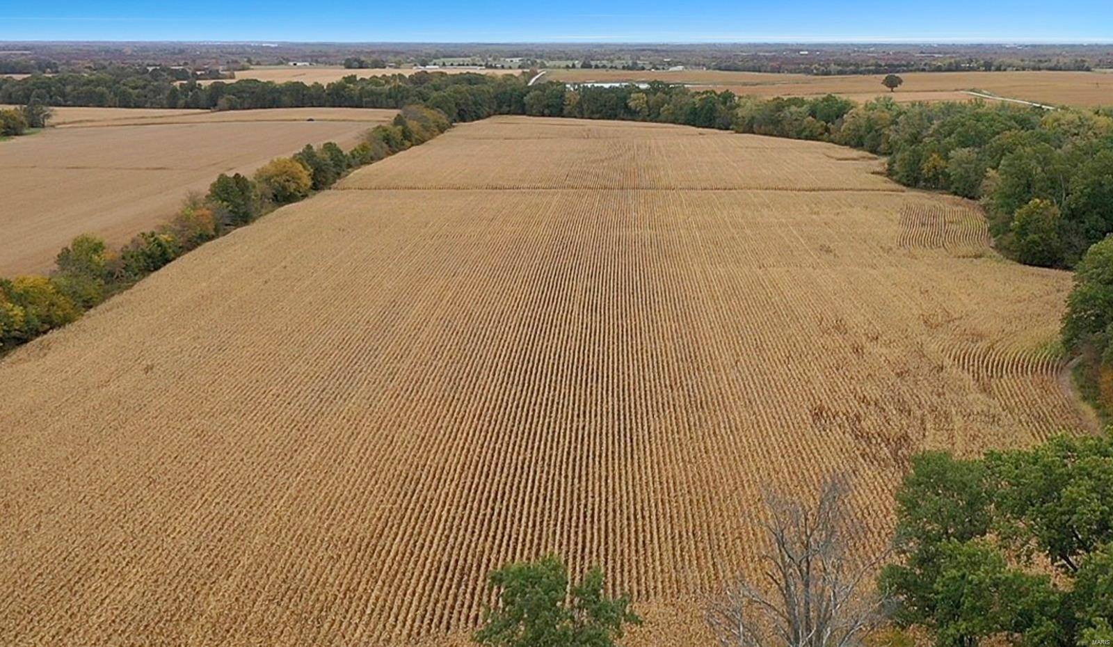 Bellflower, MO 63333,0 Hwy DD