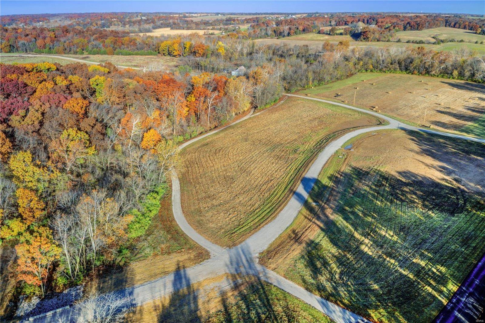 Wentzville, MO 63385,201 Holt Farm / Lot 21
