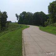 Valmeyer, IL 62295,0 XXX Bluff Meadows DR