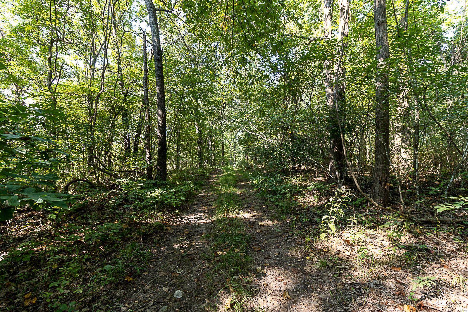 Devils Elbow, MO 65457,0 Lot 8 Tranquil LN