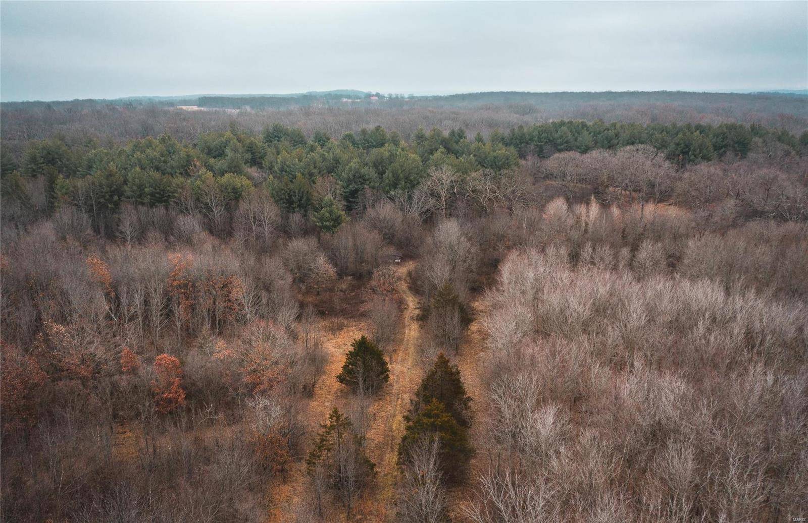 Bourbon, MO 65441,389 Butler Pond Tract 3 RD