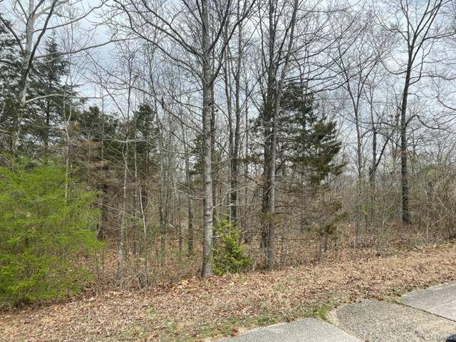 Poplar Bluff, MO 63901,0 North Side of Ginger ST