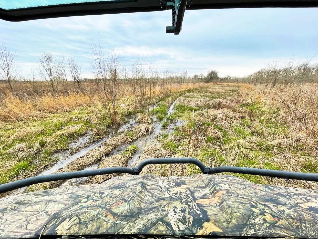 Campbell, MO 63933,0 Highway 53- Wetland acreage